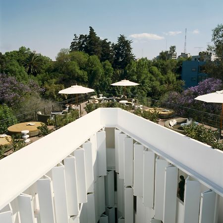 Condesa Df, Mexico City, A Member Of Design Hotels Restoran foto